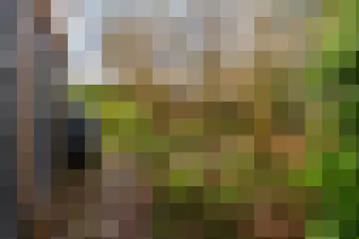 Beekdal 7 Ulvenhout thumbnail 38