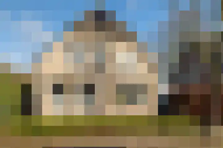 Beekdal 7 Ulvenhout thumbnail 39
