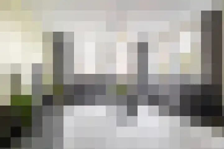 Beekdal 7 Ulvenhout thumbnail 8