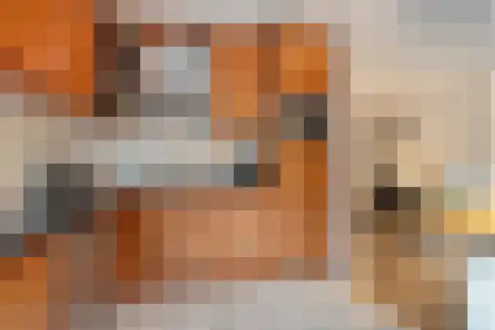Beekdal 7 Vriezenveen thumbnail 10