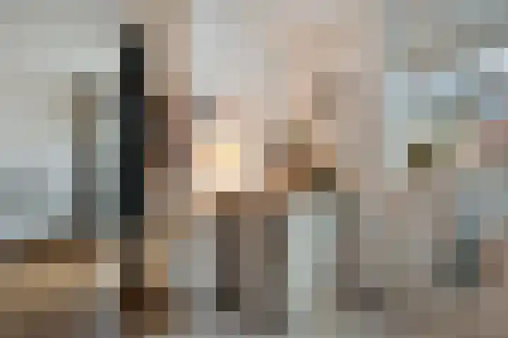 Beekdal 7 Vriezenveen thumbnail 11