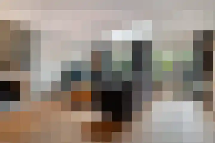 Beekdal 7 Vriezenveen thumbnail 12