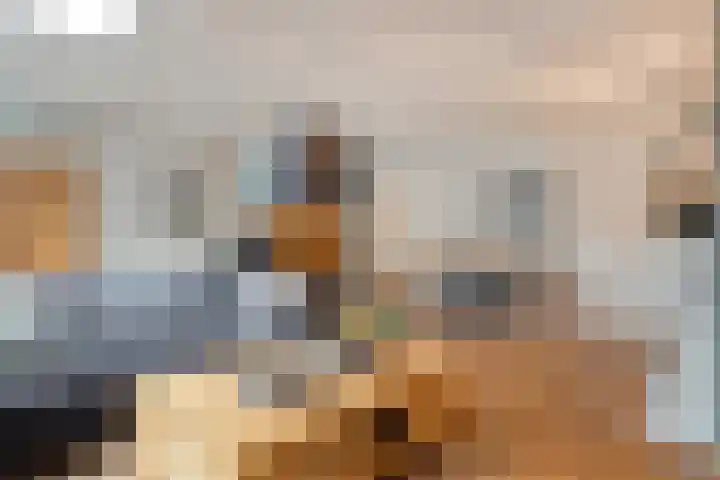 Beekdal 7 Vriezenveen thumbnail 14