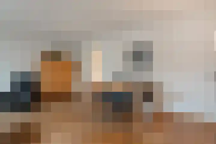 Beekdal 7 Vriezenveen thumbnail 16