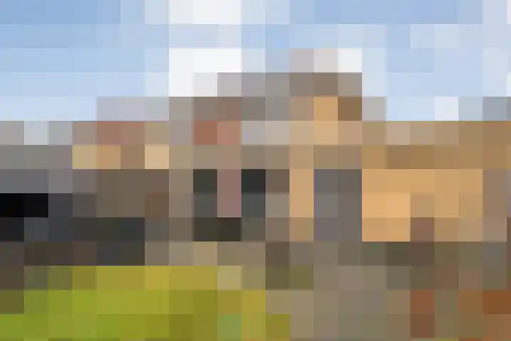 Beekdal 7 Vriezenveen thumbnail 26