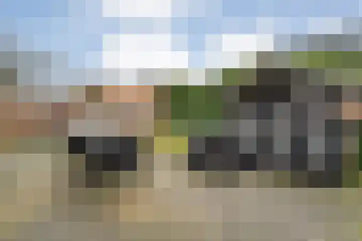 Beekdal 7 Vriezenveen thumbnail 27