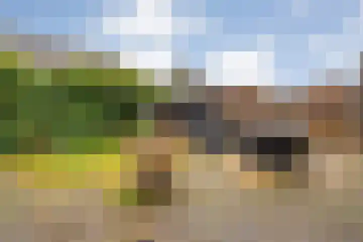 Beekdal 7 Vriezenveen thumbnail 28