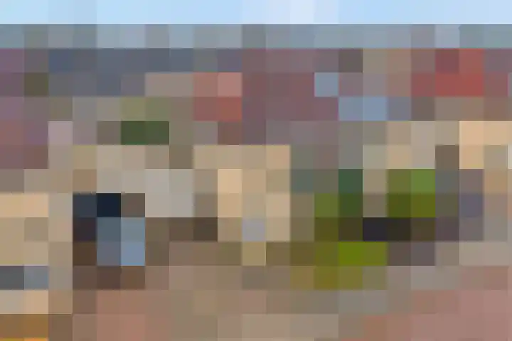 Beekdal 7 Vriezenveen thumbnail 29