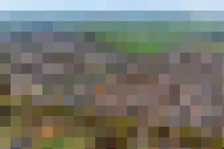 Beekdal 7 Vriezenveen thumbnail 30