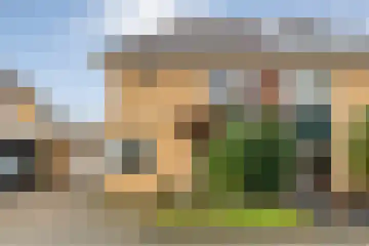 Beekdal 7 Vriezenveen thumbnail 32