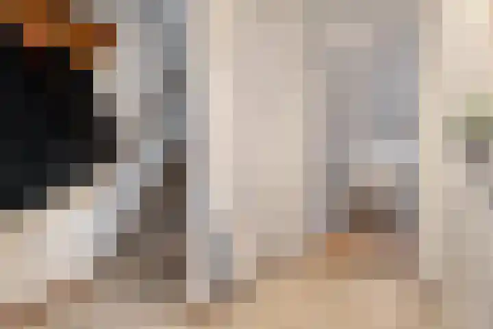 Beekdal 7 Vriezenveen thumbnail 5