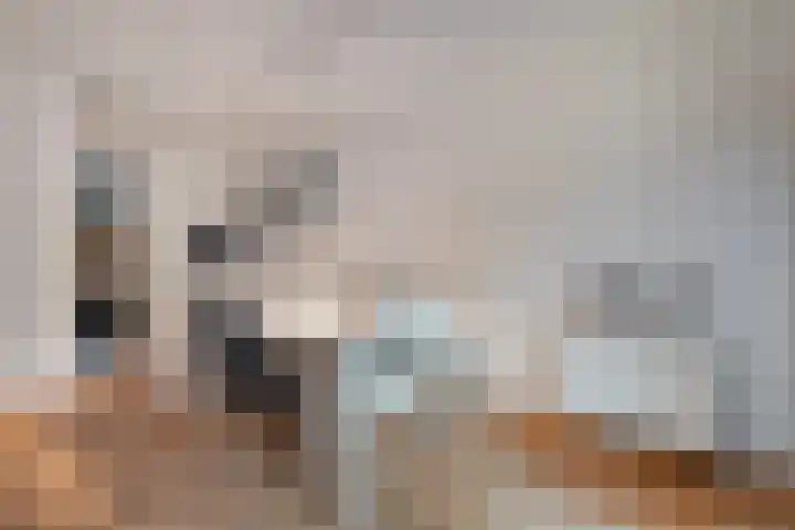 Beekdal 7 Vriezenveen thumbnail 6