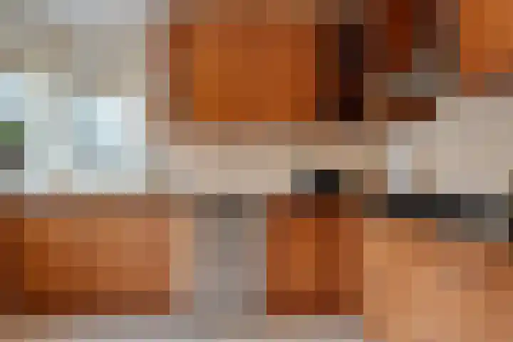 Beekdal 7 Vriezenveen thumbnail 8