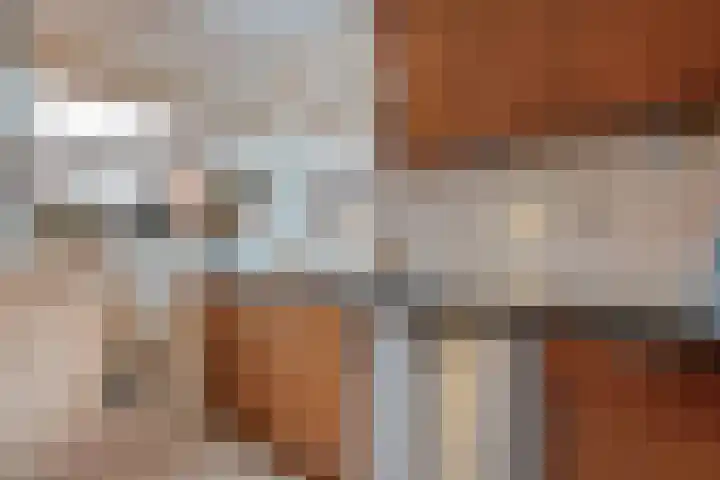 Beekdal 7 Vriezenveen thumbnail 9