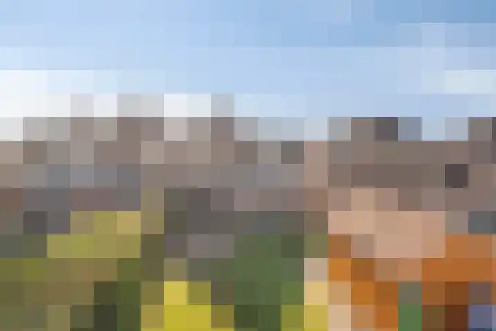 Beekenkampweg 4 Doornspijk thumbnail 39