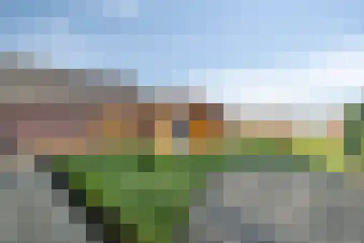 Beekenkampweg 4 Doornspijk thumbnail 4