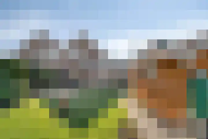 Beekenkampweg 4 Doornspijk thumbnail 42
