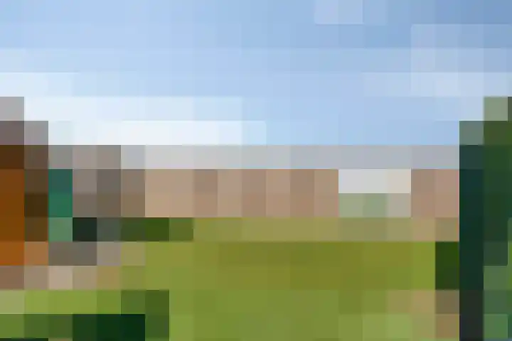 Beekenkampweg 4 Doornspijk thumbnail 43