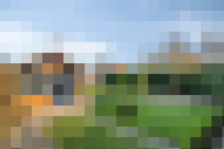 Beekenkampweg 4 Doornspijk thumbnail 45
