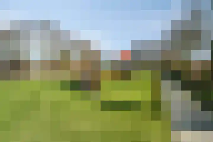 Beekenkampweg 4 Doornspijk thumbnail 49