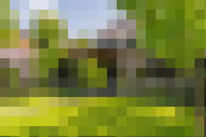 Beekenkampweg 69 Doornspijk thumbnail 50