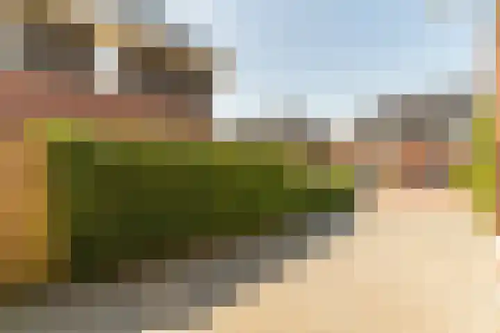 Beekenkampweg 69 Doornspijk thumbnail 6