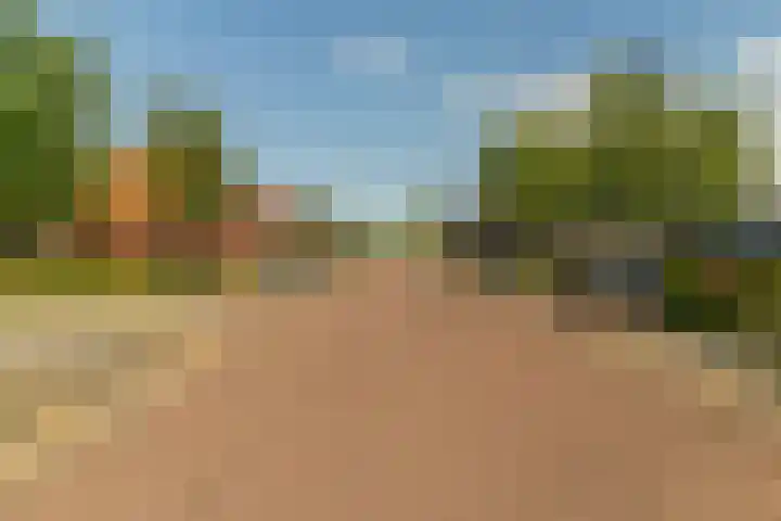 Beekenkampweg 69 Doornspijk thumbnail 63
