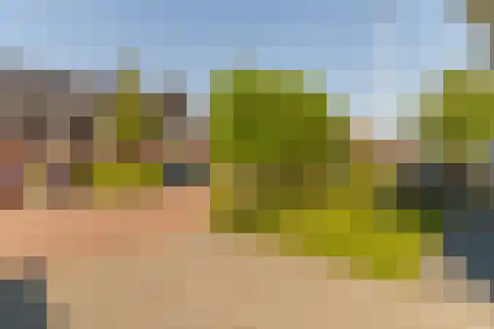 Beekenkampweg 69 Doornspijk thumbnail 7