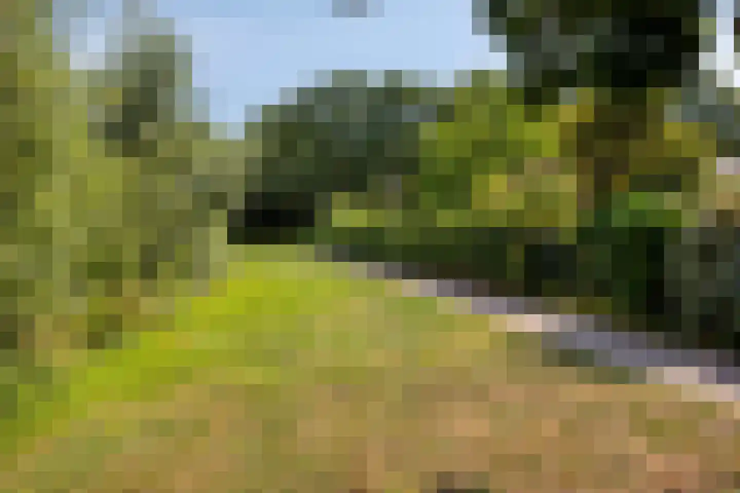 Beekenoord 10 a Westervoort thumbnail 31