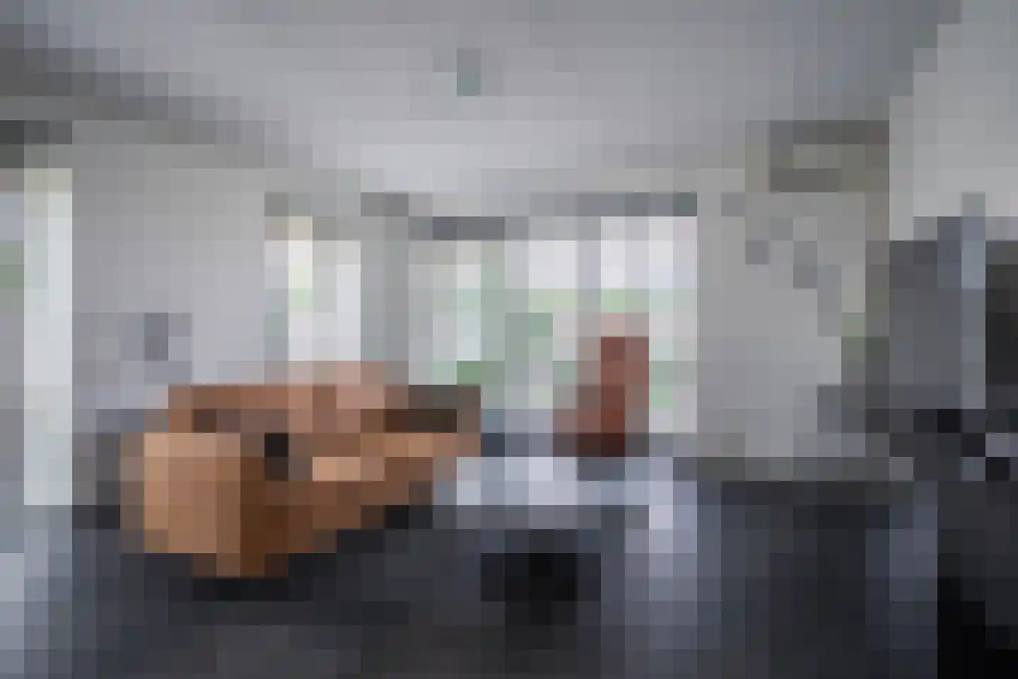Beekenoord 150 Westervoort thumbnail 14