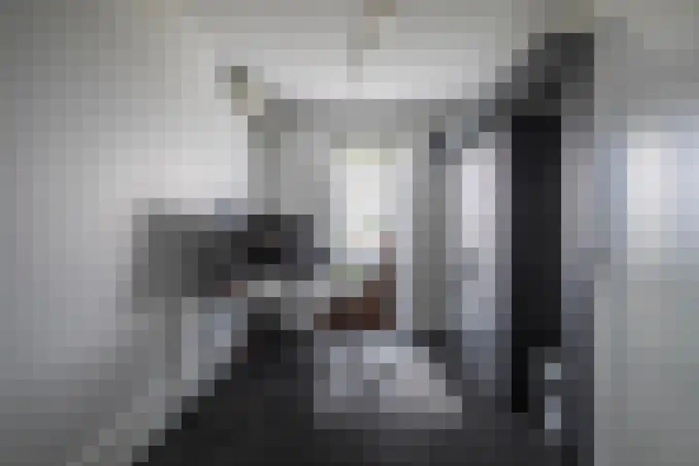 Beekenoord 150 Westervoort thumbnail 25