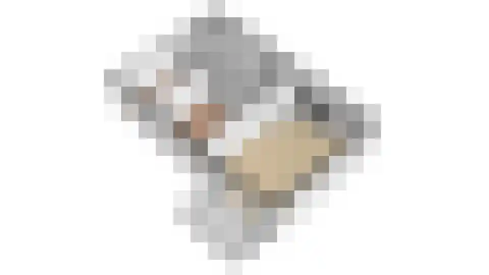 Beekenoord 150 Westervoort thumbnail 29