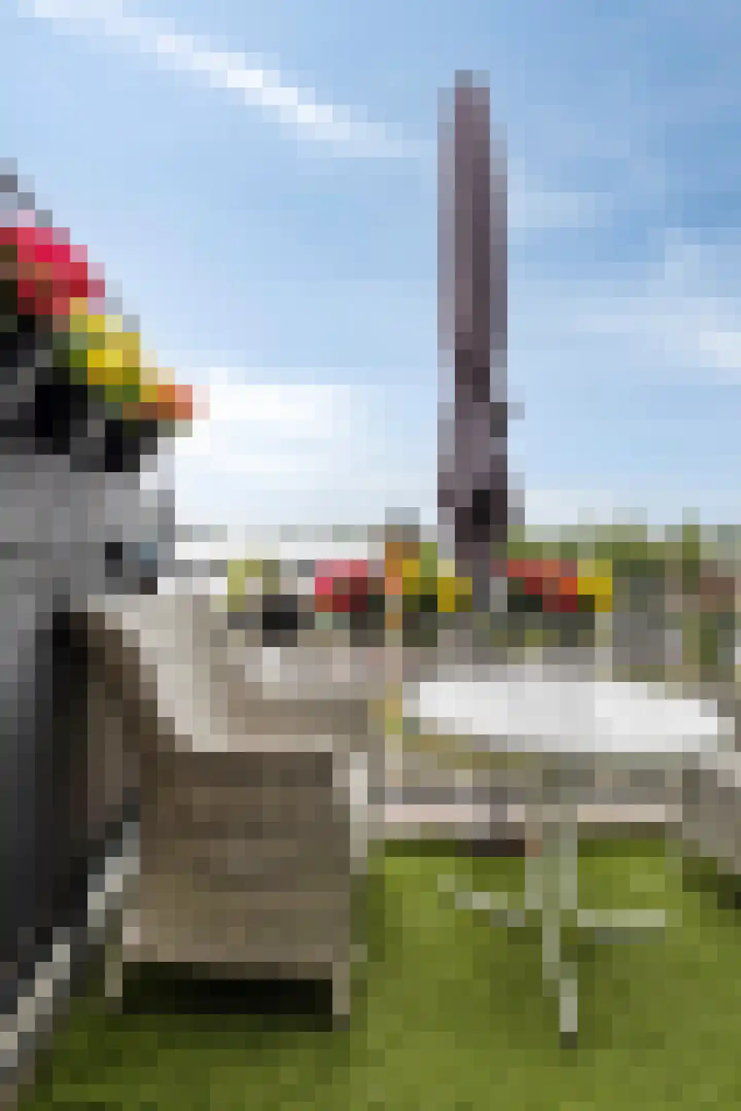 Beekenoord 16 Westervoort thumbnail 21