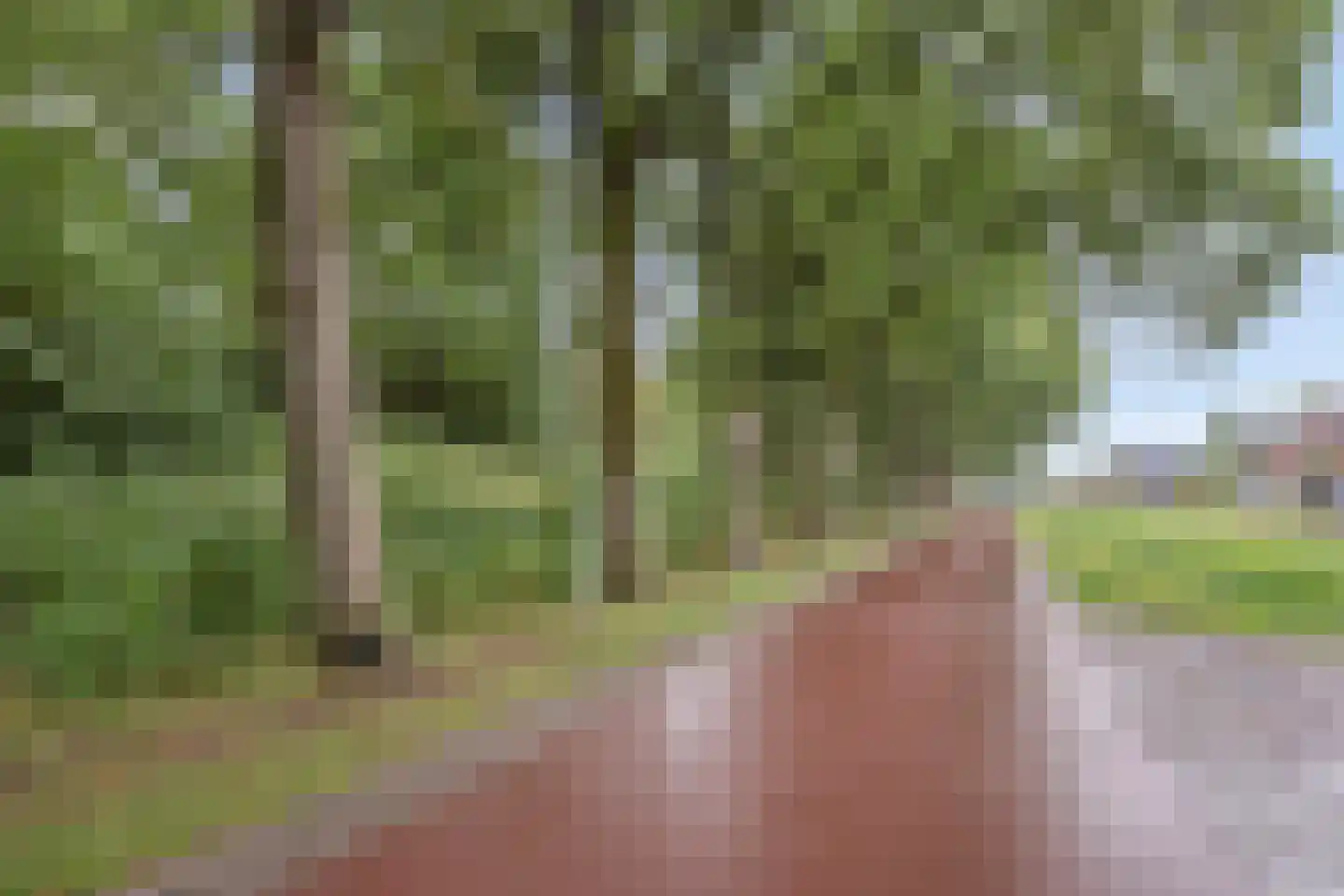 Beekenoord 16 Westervoort thumbnail 32