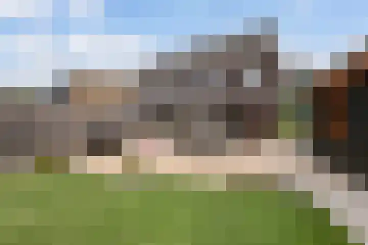 Beekenoord 43 Westervoort thumbnail 16