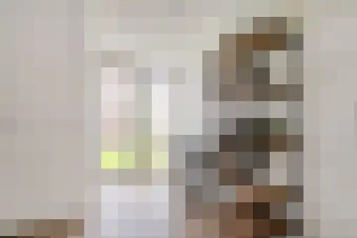 Beekenoord 43 Westervoort thumbnail 35
