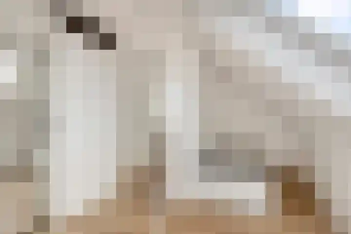 Beekenoord 43 Westervoort thumbnail 36