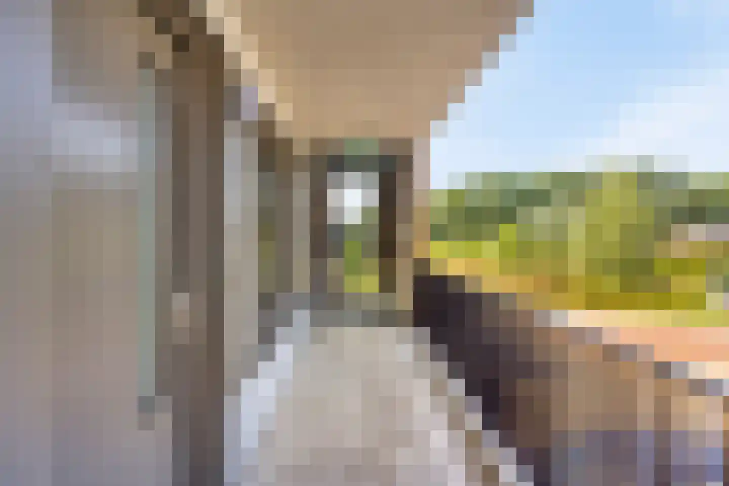 Beekenoord 6 Westervoort thumbnail 12