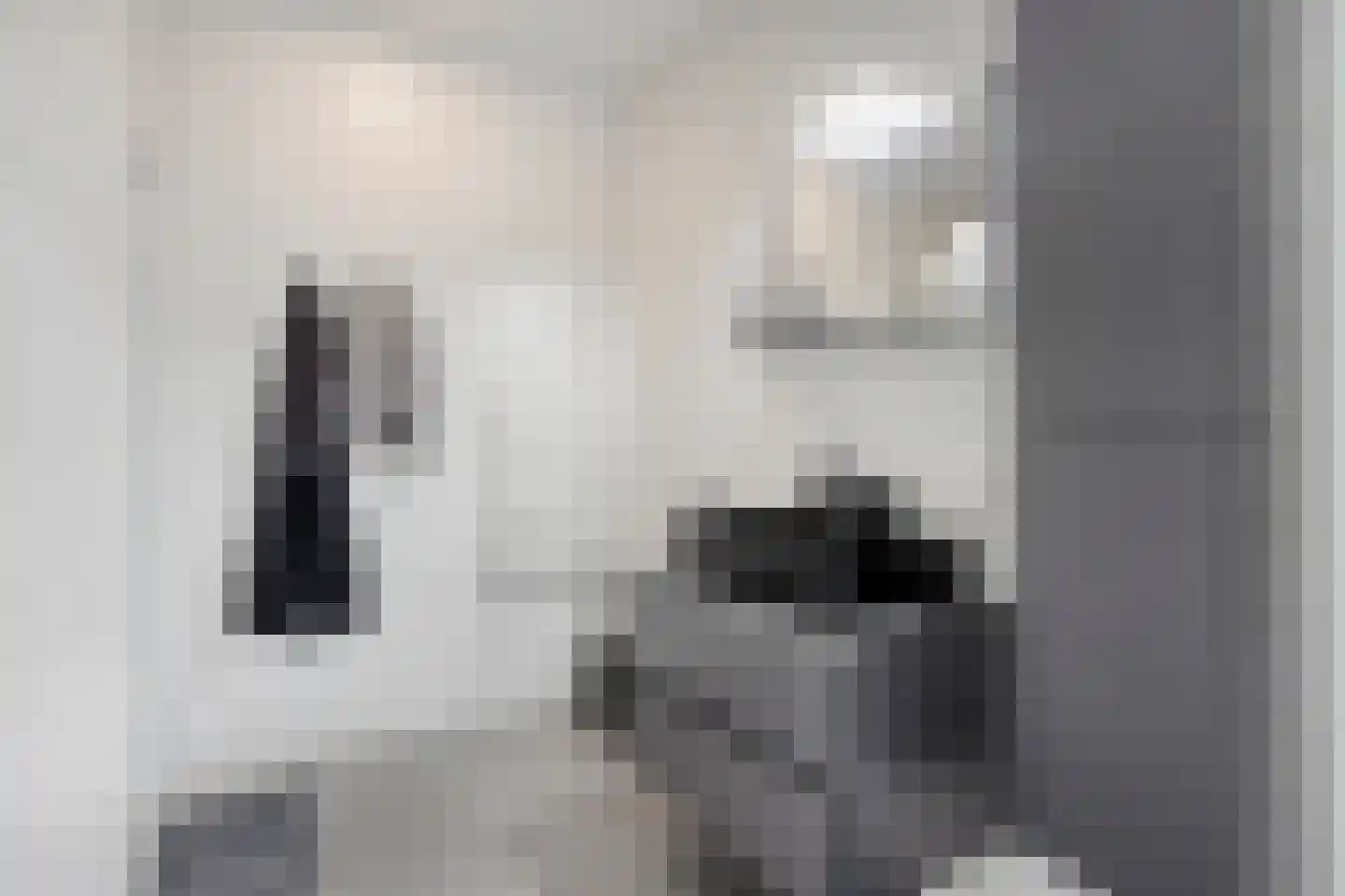 Beekenoord 6 Westervoort thumbnail 20