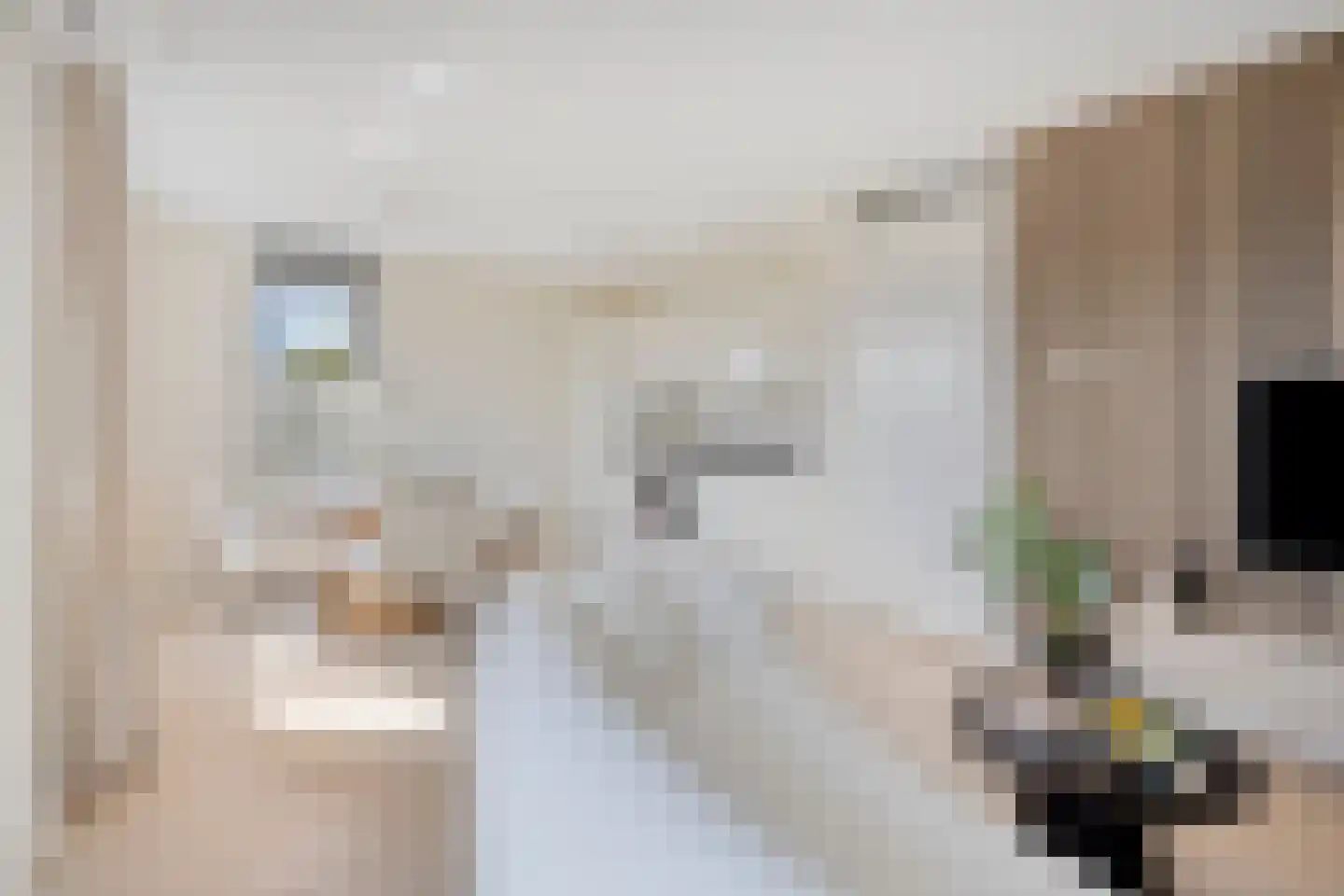 Beekenoord 6 Westervoort thumbnail 25