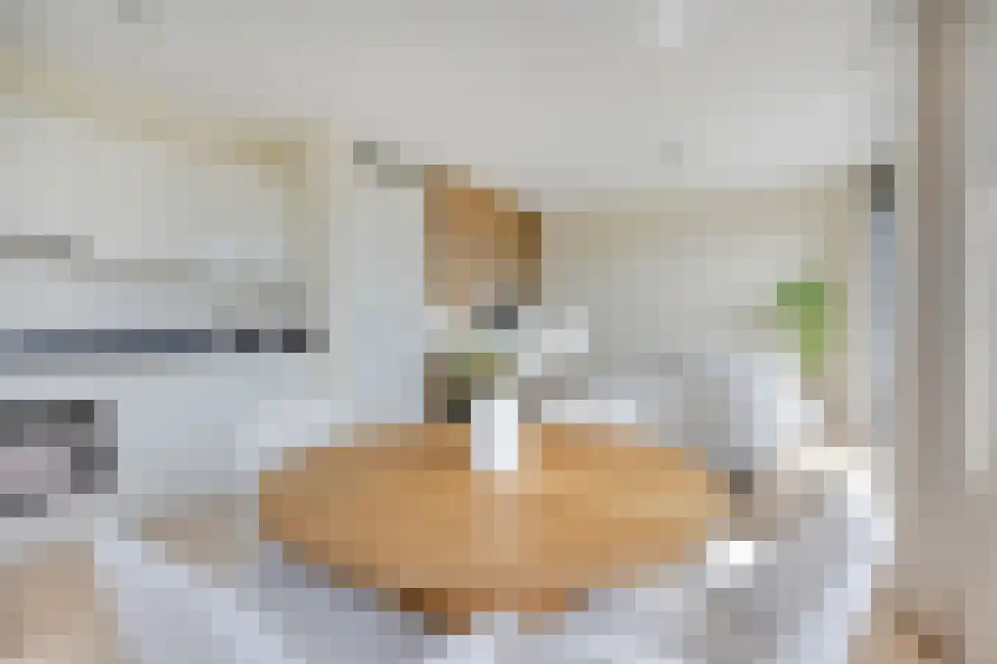 Beekenoord 6 Westervoort thumbnail 32