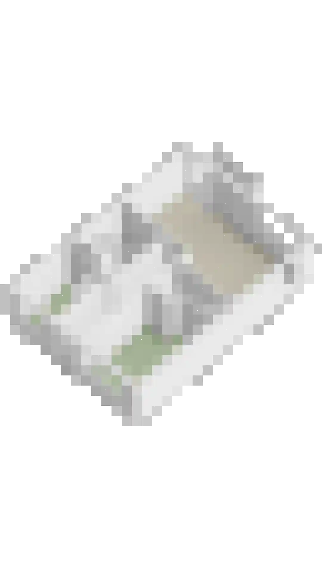 Beekenoord 6 Westervoort thumbnail 36