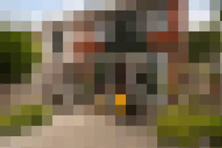 Beekenstein 114 Dordrecht thumbnail 41