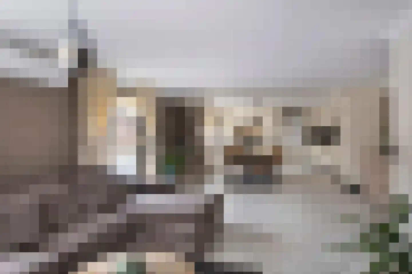 Beekerheide 24 b Beek en Donk thumbnail 10