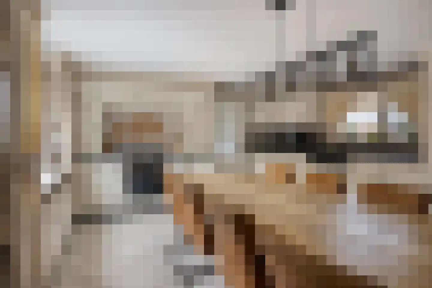 Beekerheide 24 b Beek en Donk thumbnail 11
