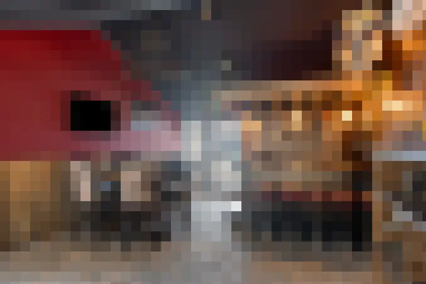 Beekerheide 24 b Beek en Donk thumbnail 29