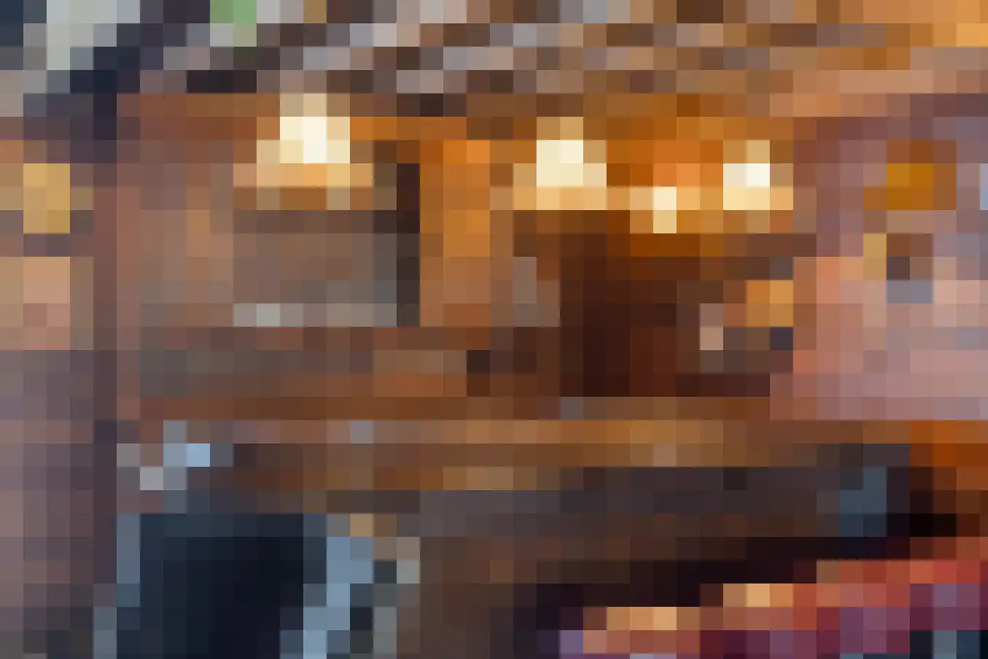 Beekerheide 24 b Beek en Donk thumbnail 30