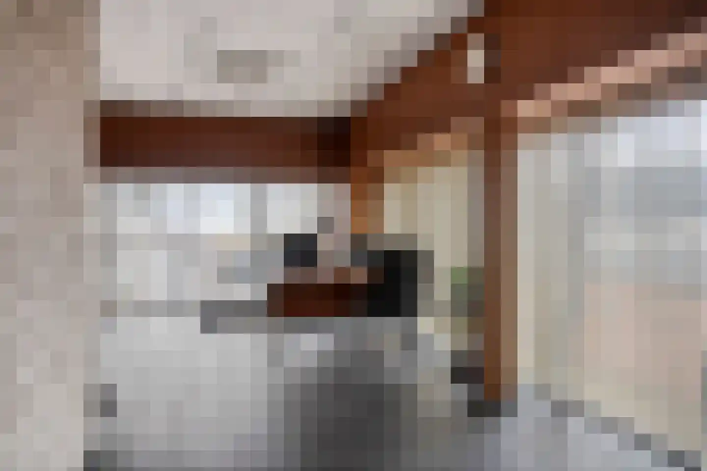 Beekerheide 24 b Beek en Donk thumbnail 45