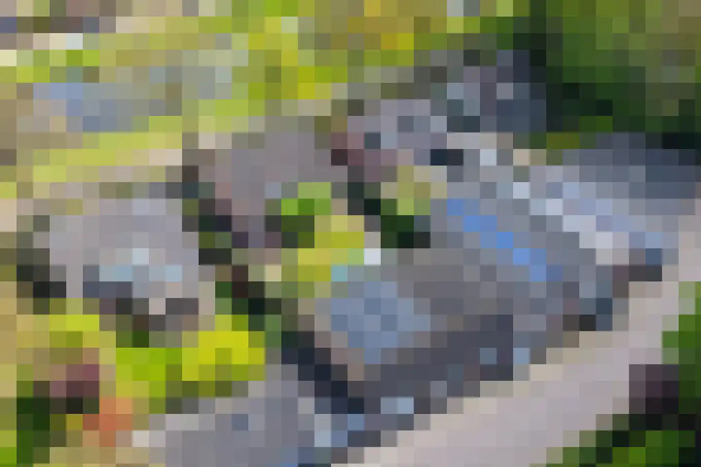 Beekerheide 50 Beek en Donk thumbnail 10