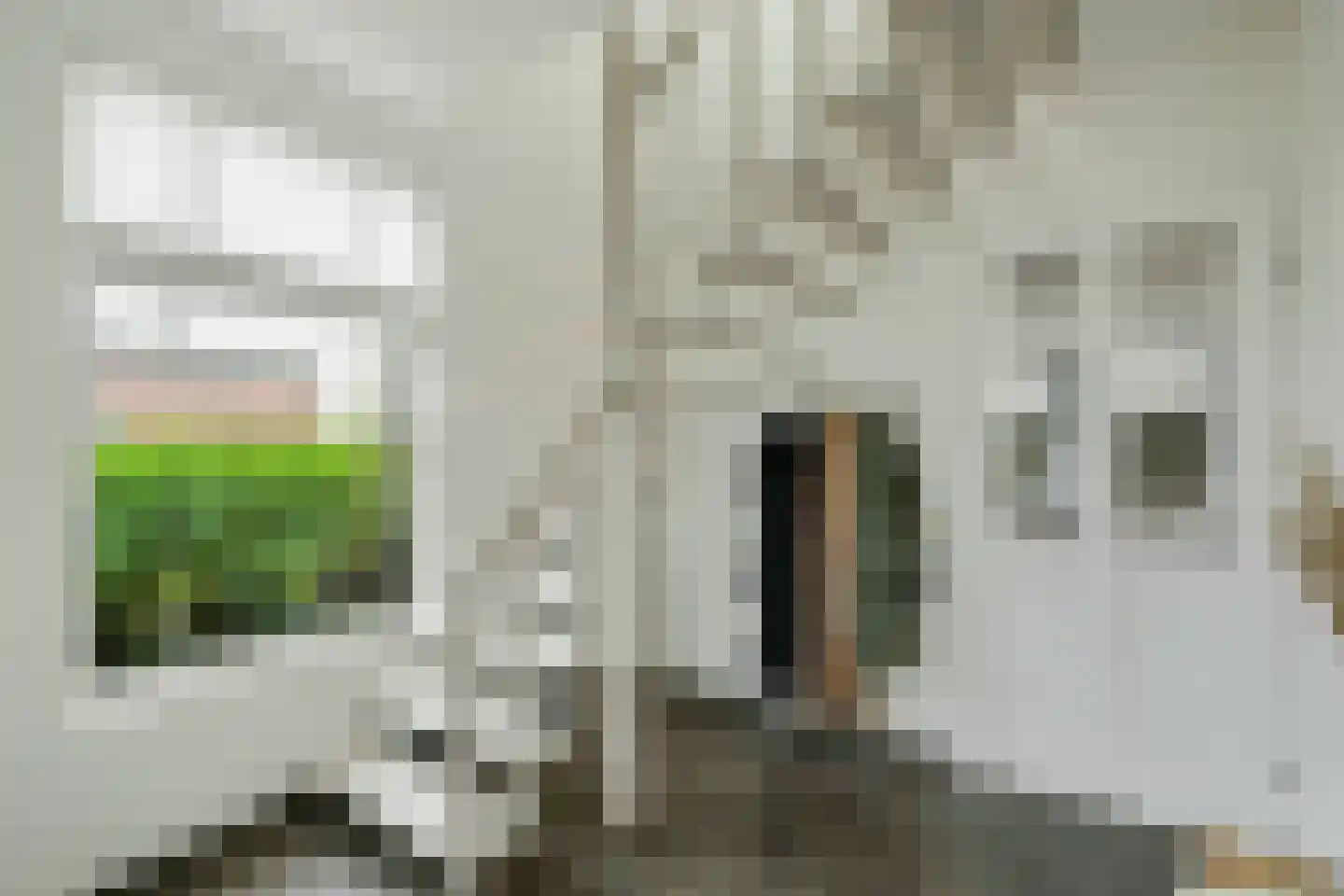 Beekerheide 50 Beek en Donk thumbnail 12